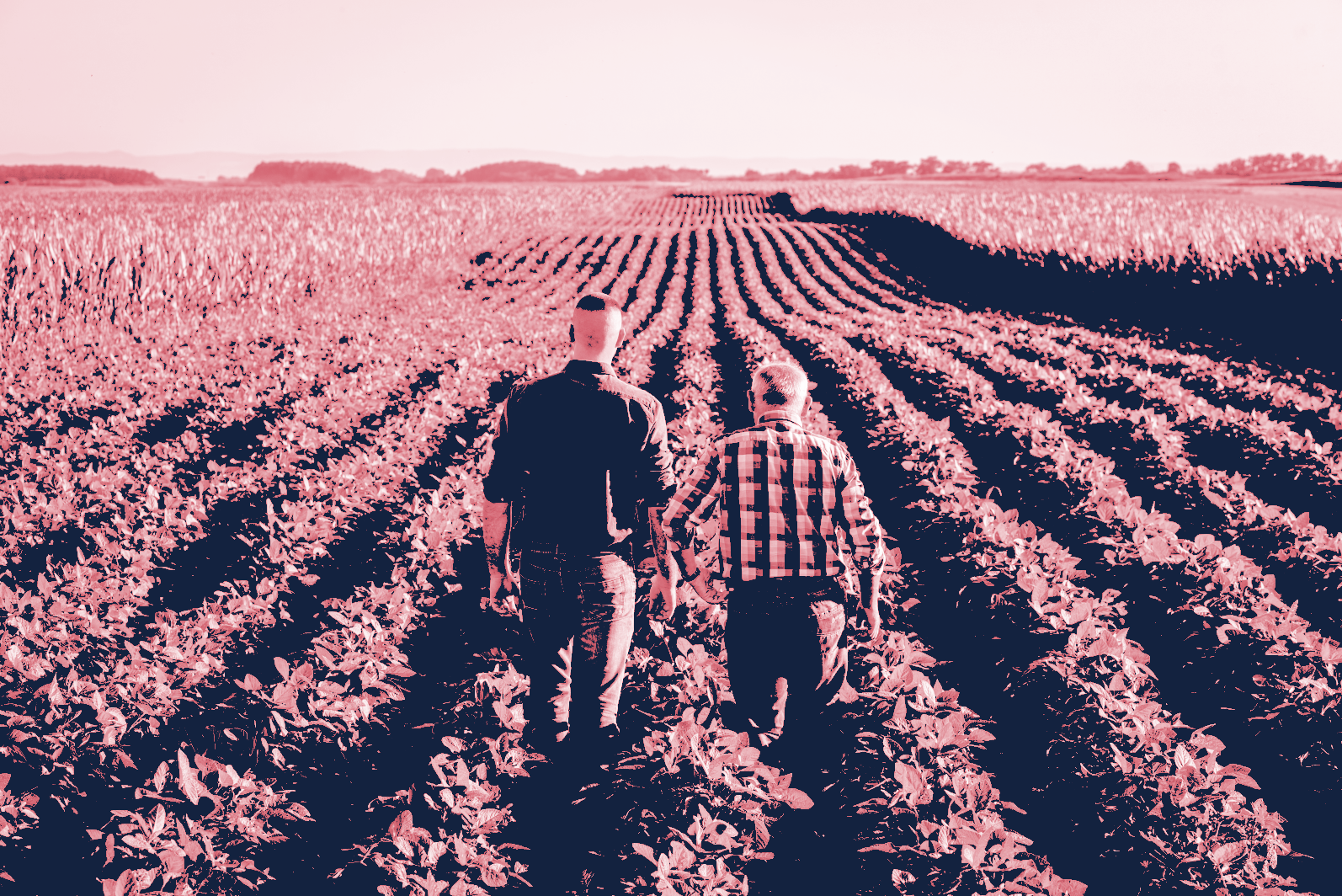 Stylized image of two farmers walking down a row of crops.